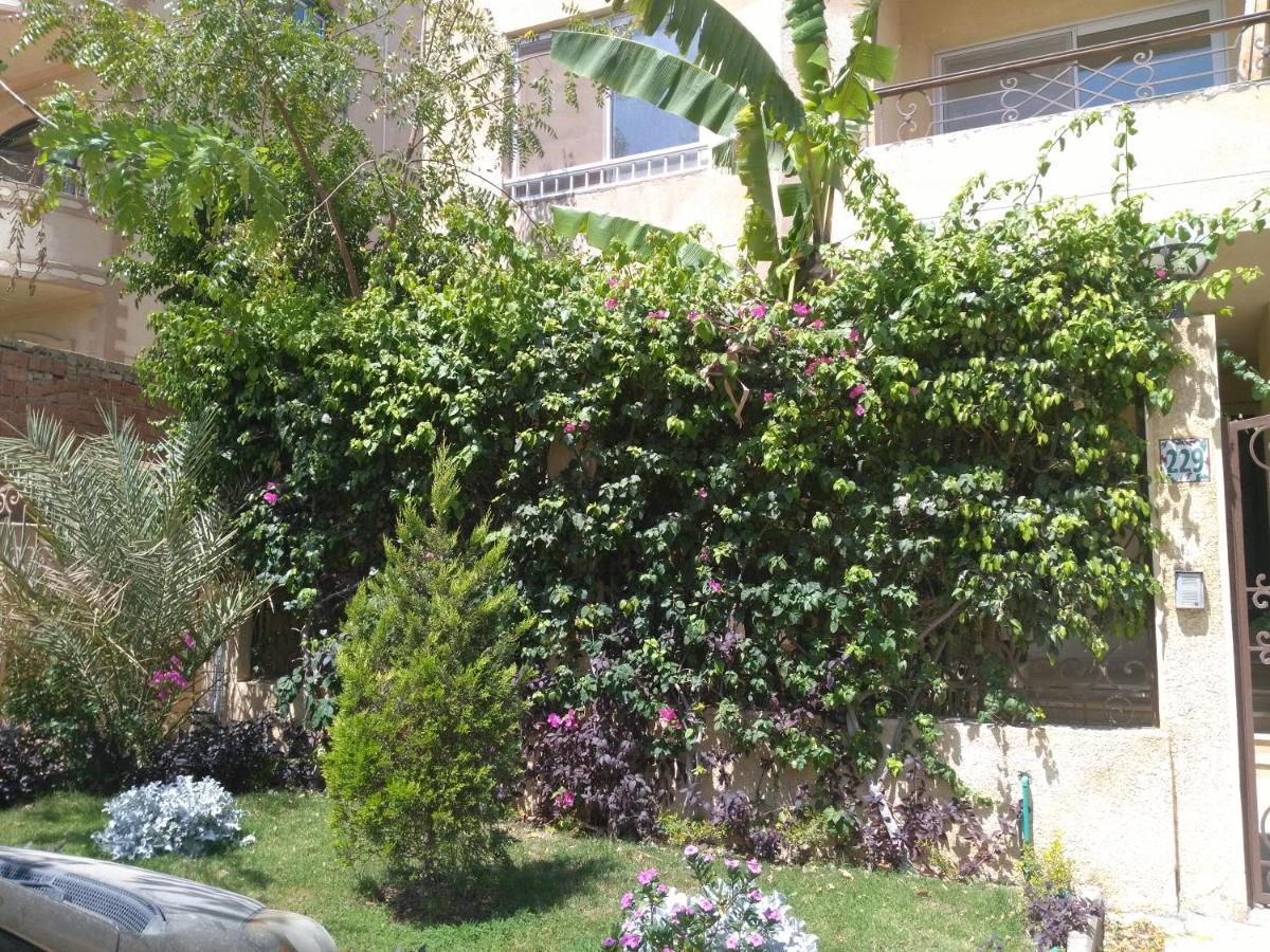 New Zoe Apartamento *